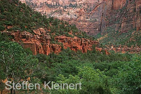 zion np 009